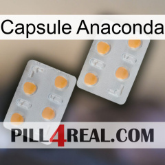 Anaconda Capsule 25